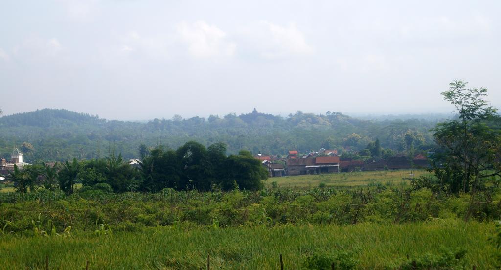 Griya Harja Homestay Magelang Exterior photo