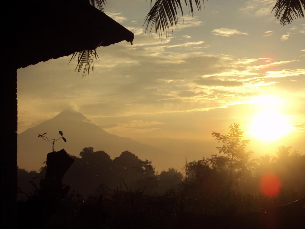 Griya Harja Homestay Magelang Exterior photo